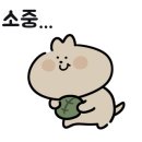 빅보스 복싱 체육관 이미지