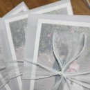 총 25회 청모 후기 (식당, 카페 추천!)