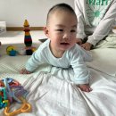 궁 왕갈비탕, 판교 나무사이로, 분당 윤시케이크, 25주 분당제일여성병원 임당검사, 정자 우마블, 율동...
