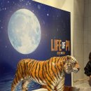 어린이연극 알라딘 | 부산 연극 라이프오브파이 드림씨어터 좌석 추천 시야 한국 초연 리뷰 후기