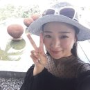 코끼리쌀국수