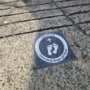 그린가드(주) 이미지