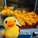 인형뽑기 이미지