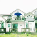 별빛소나타 이미지