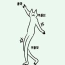 쌀강아지 이미지