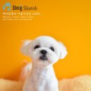 봉구애견미용샵 이미지