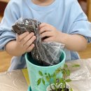 화일초등학교병설유치원 이미지