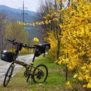 탄금호순환자전거길 4 이미지