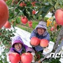 학림농장 이미지