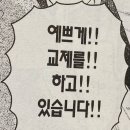 이야우와 이미지