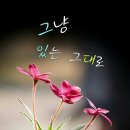 찬찬찬