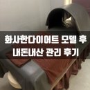 (주)바이오브레인 | 화사한다이어트 모델 도전 후 잠실점 내돈내산 시작한 후기