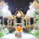 위더스 뷰티 이미지