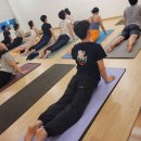 즈나냐요가원 | 나를 위한 힐링은 일산전통요가 전문인"즈나냐요가원"에서 내면 수련하기^^