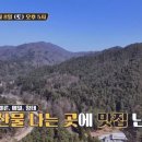 오삼오리
