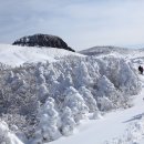 한라산 - 강서구 | 한라산