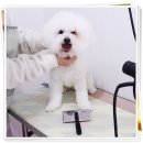 소울도기 이미지