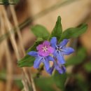 여항면사무소 이미지