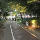 걷고싶은거리 네이버블로그