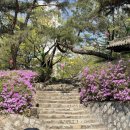 중계수암약국 이미지