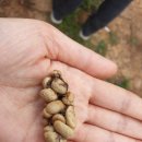 별다섯농장 이미지