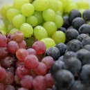 자연의선물 이미지