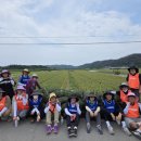 부산가톨릭대학교 이미지