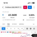 자유머리