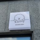 도브리댕 | 천안애견미용추천, 청수동 도브리댕 가격표첨부(소미 리얼 후기)