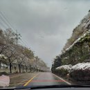 제11회 광주광역시장배 바둑대회(후기)