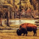 2025 해돋이 행사 이미지