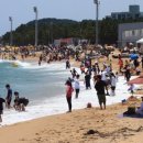 속초해수욕장 이미지