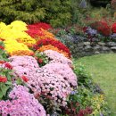 고요산책 이미지