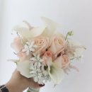 우리둘이 | 비용] 신혼부부 결혼하려면 얼마나 필요할까? 협찬없이 우리둘이 스스로 알아보고 찾아본 결혼식 견적 후기