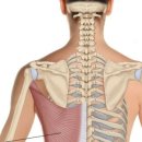 YC바디핏 이미지