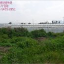 동일리-4 네이버블로그