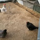 청계3로 이미지