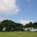 G존골프 | 직장은 클락골프연수는 e&amp;g어학원