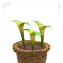 종이접기B 이미지