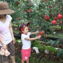 준모농장 이미지