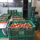 만섭농장 이미지