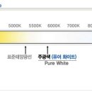에스테크엘이디