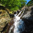 2014년6월29일 청도 운문산 번개산행 이미지