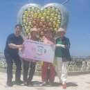 교통약자 이동지원 센터 행복콜 이미지