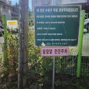 팜스픽 이미지