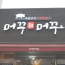 머꾸더머꾸 이미지