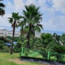 월라봉파크골프장 이미지