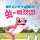 슈거유흥