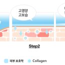 위드연의원 이미지