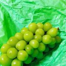 채니농장 이미지